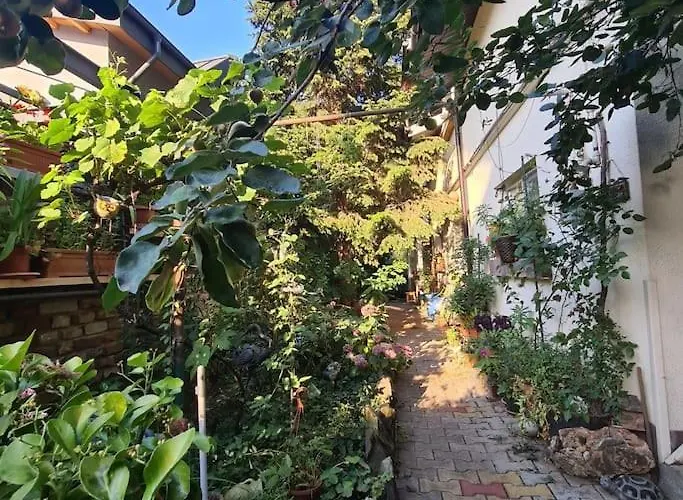Mansarda Boema, Gradina De Basm